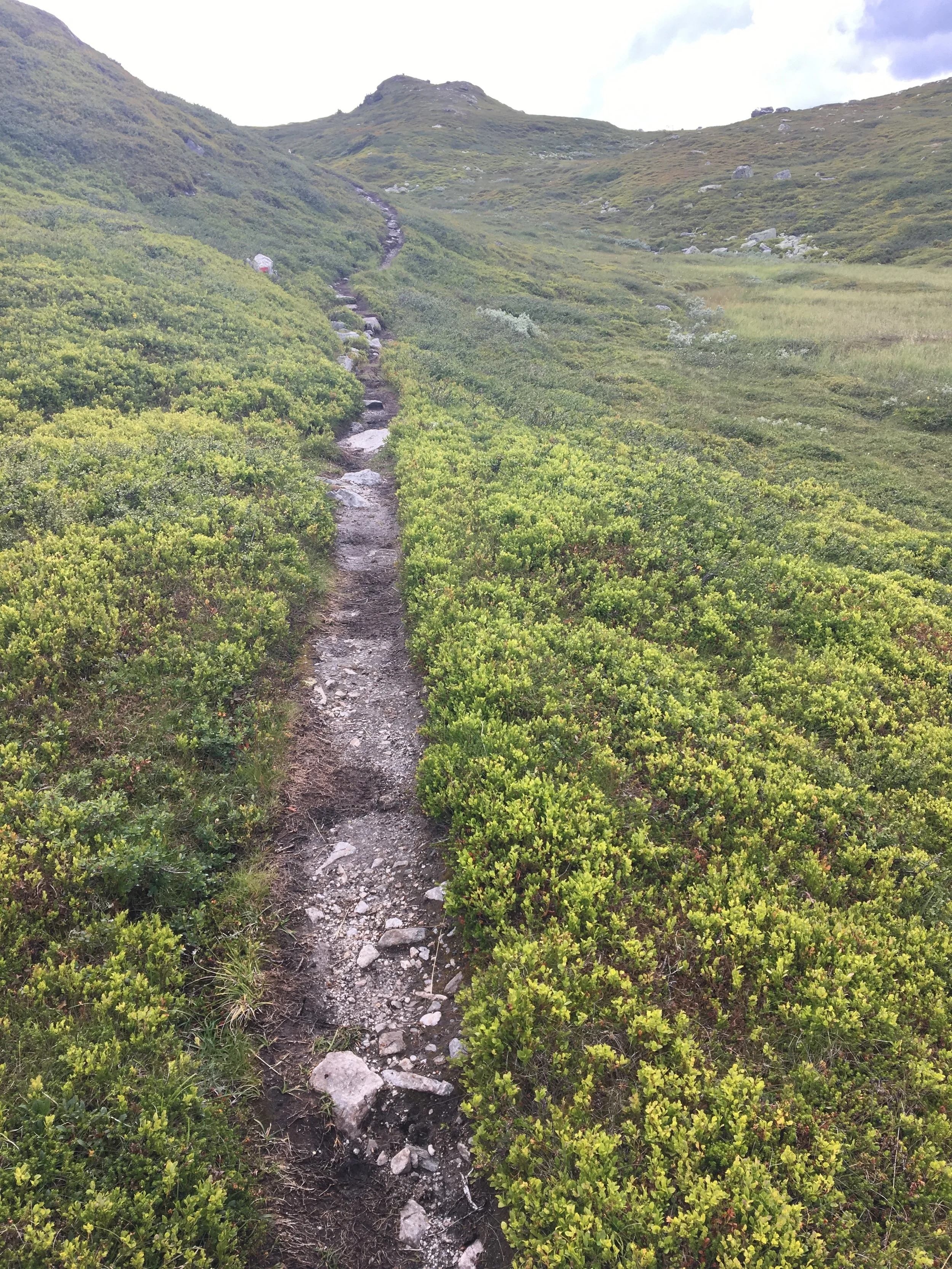 2016-07-30 13.24.06-1.jpg