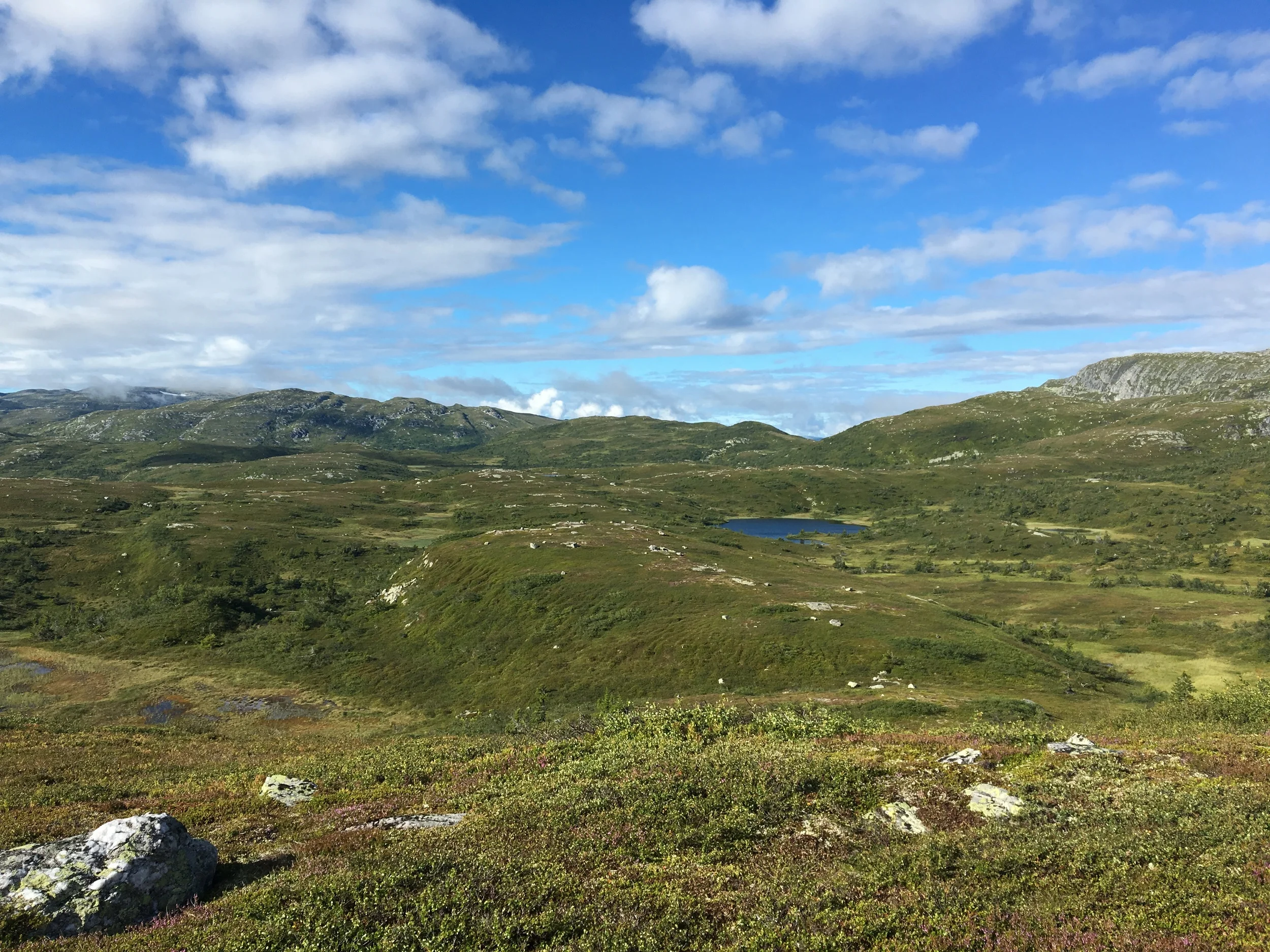 2016-07-30 09.05.32.jpg