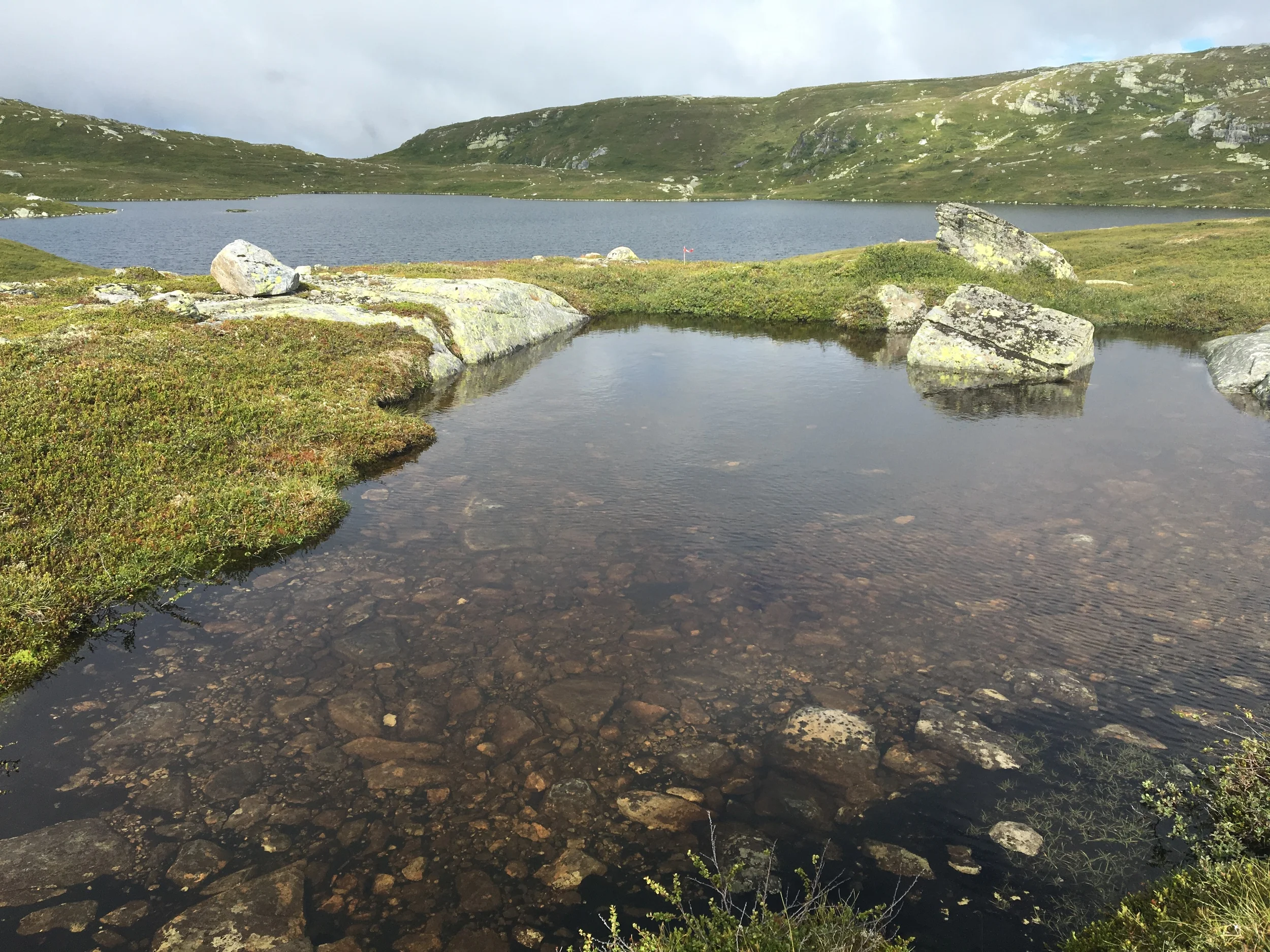 2016-07-30 09.34.33.jpg