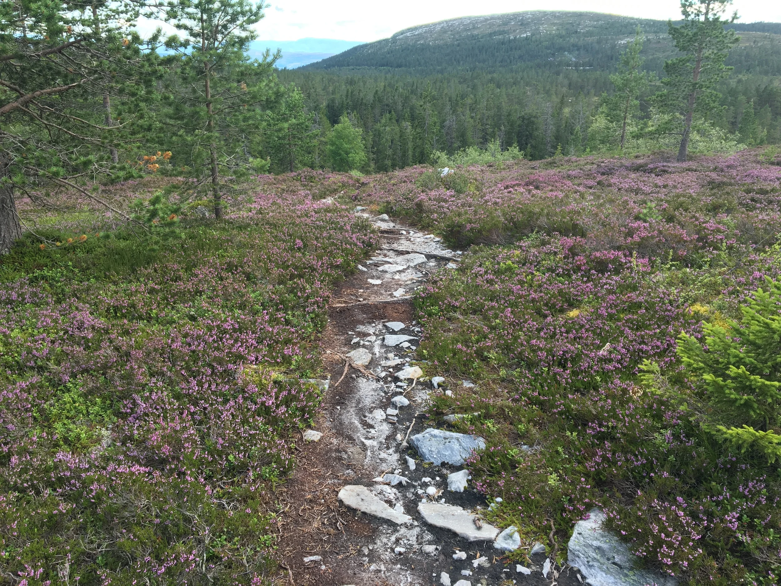 2016-07-30 17.39.38 HDR.jpg