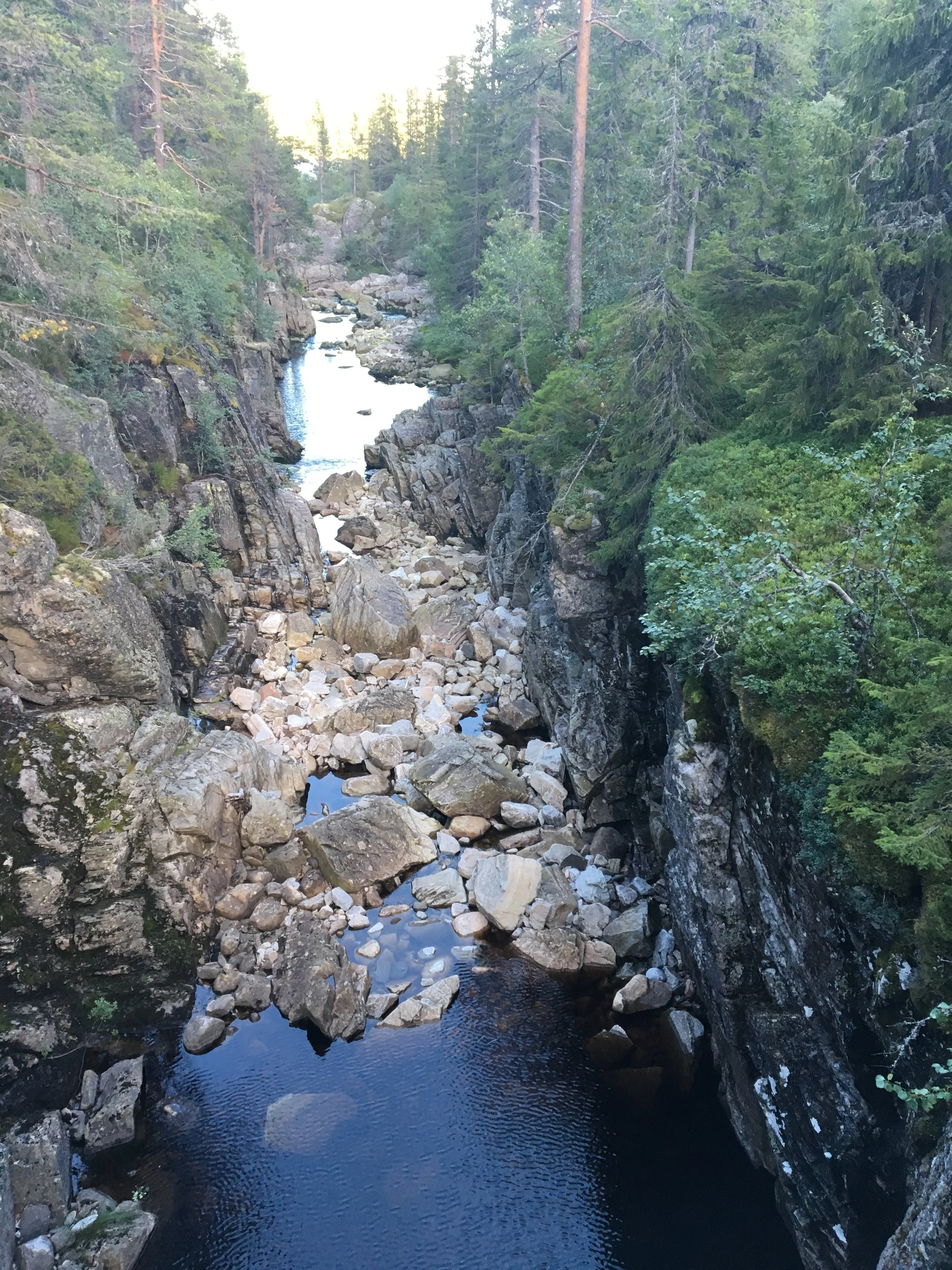 2016-07-30 20.52.08.jpg