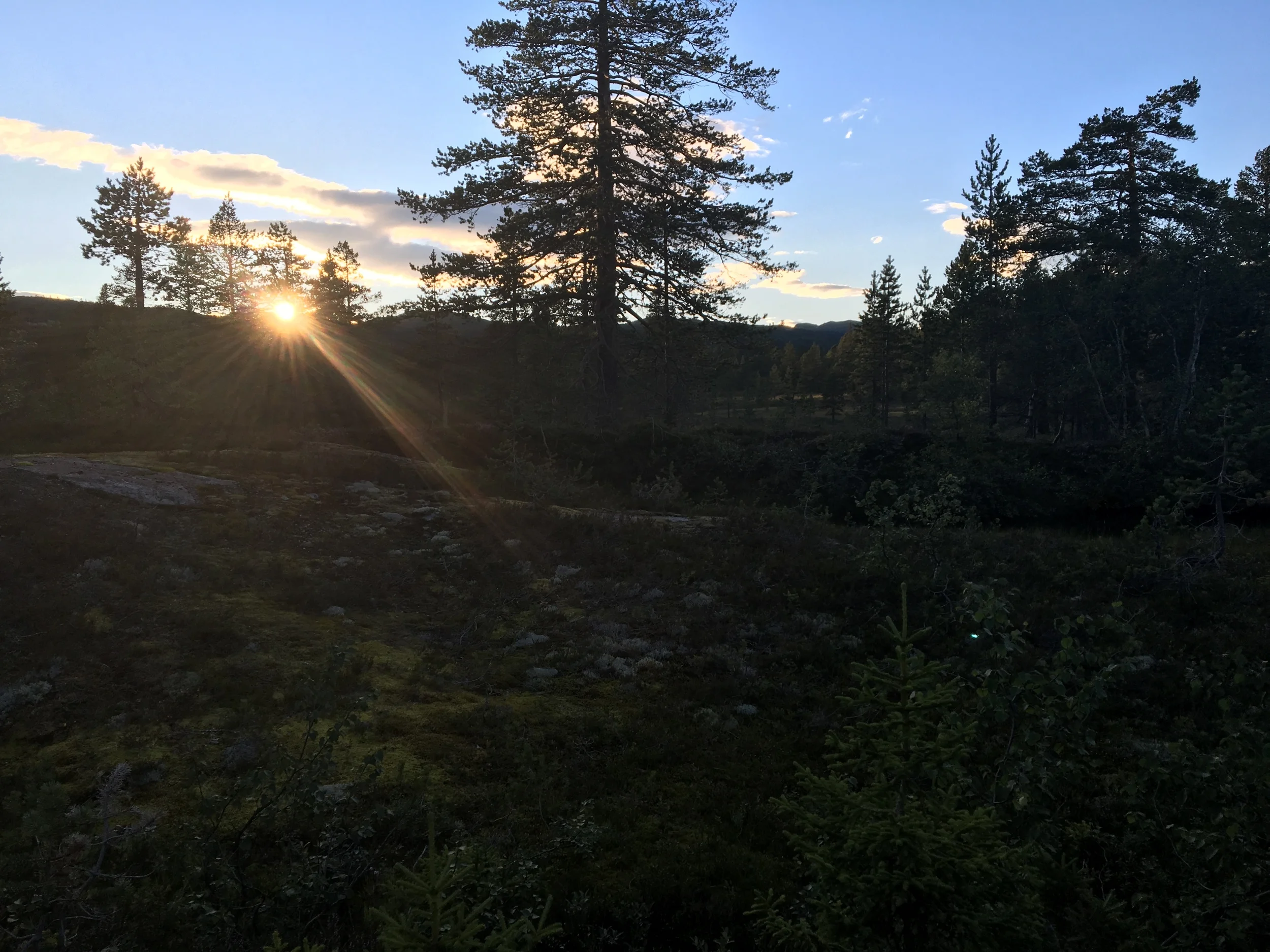 2016-07-30 20.59.12 HDR.jpg