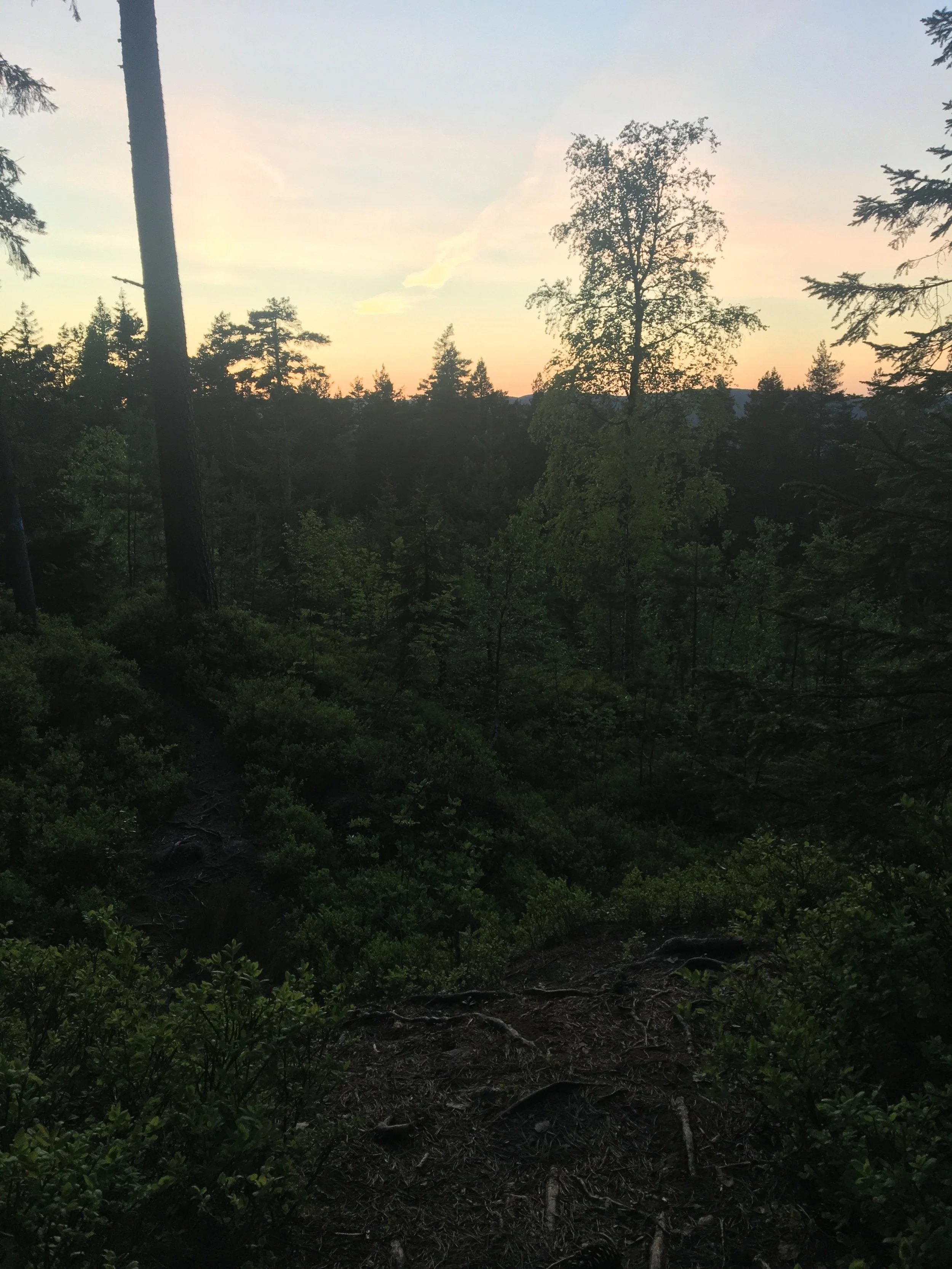 Solen på vei ned, mens vi er på vei opp 🌄🏃♂️