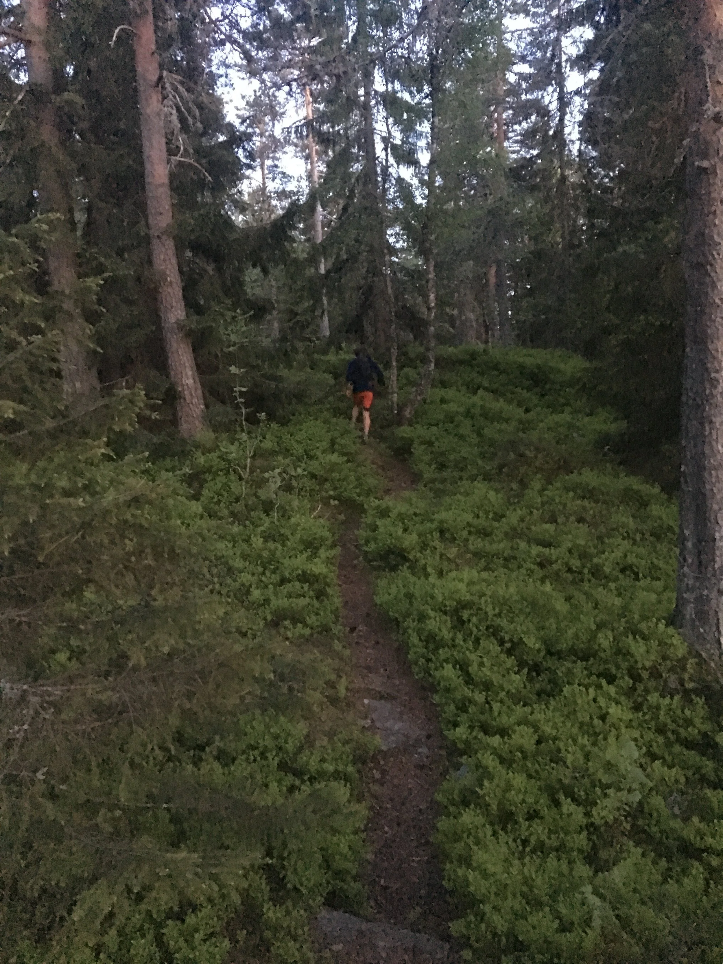 Vi kom oss over Hvittingen med relativt tekniske stier før hodelykten måtte frem, veldig fornøyd med timingen 🔦