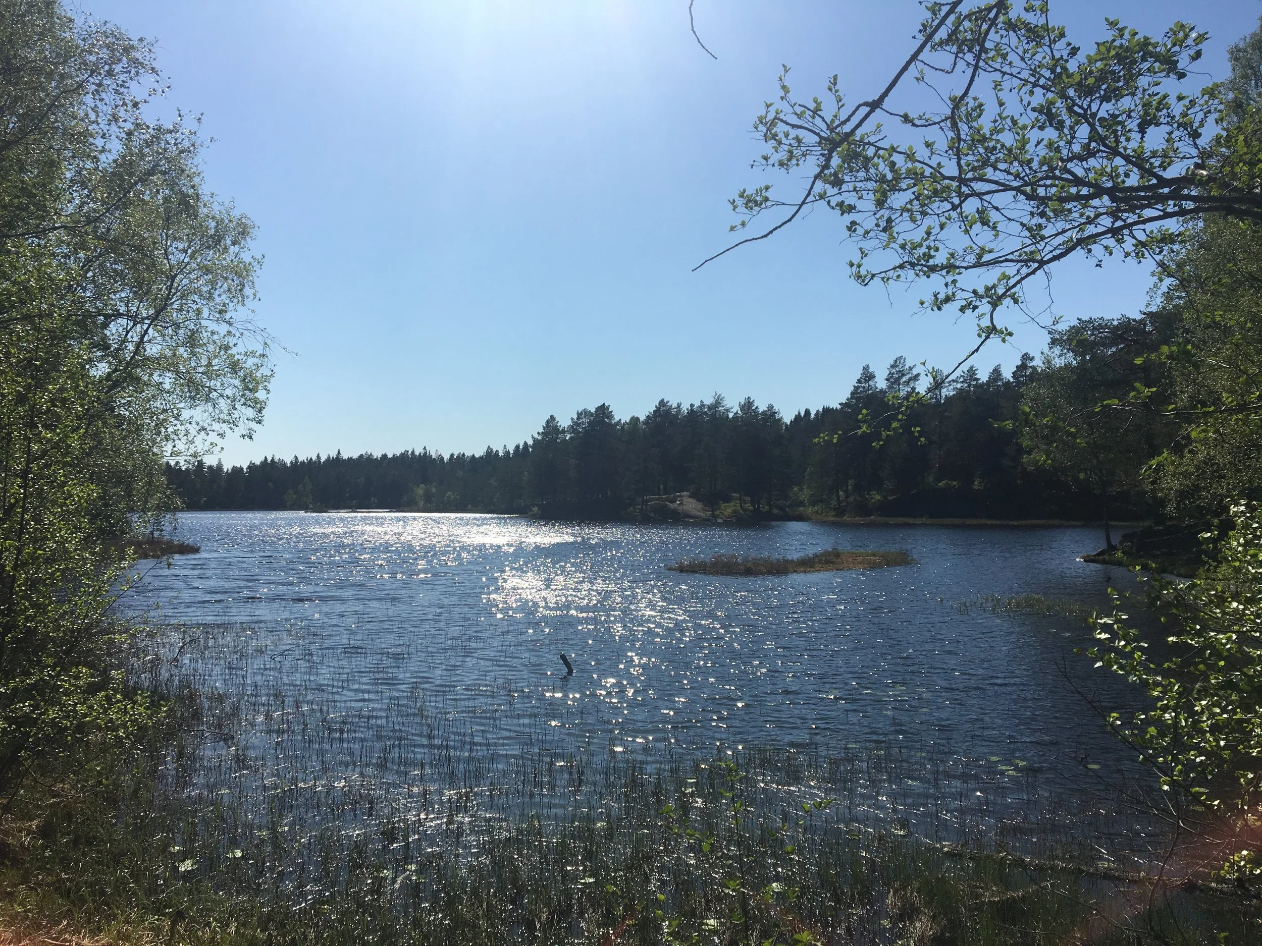 2018-05-19 15.58.08.jpg