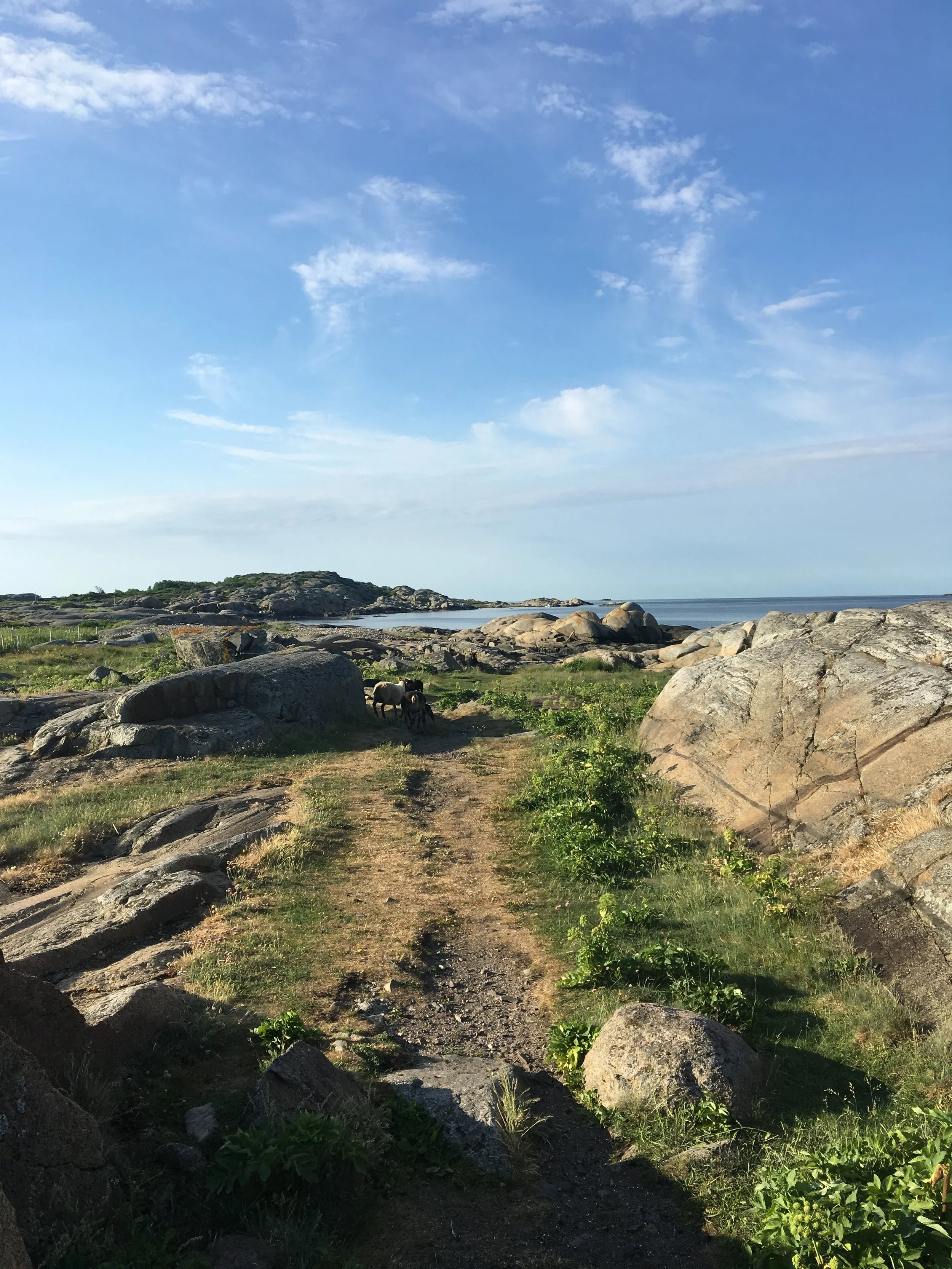 2018-06-01 07.25.25.jpg