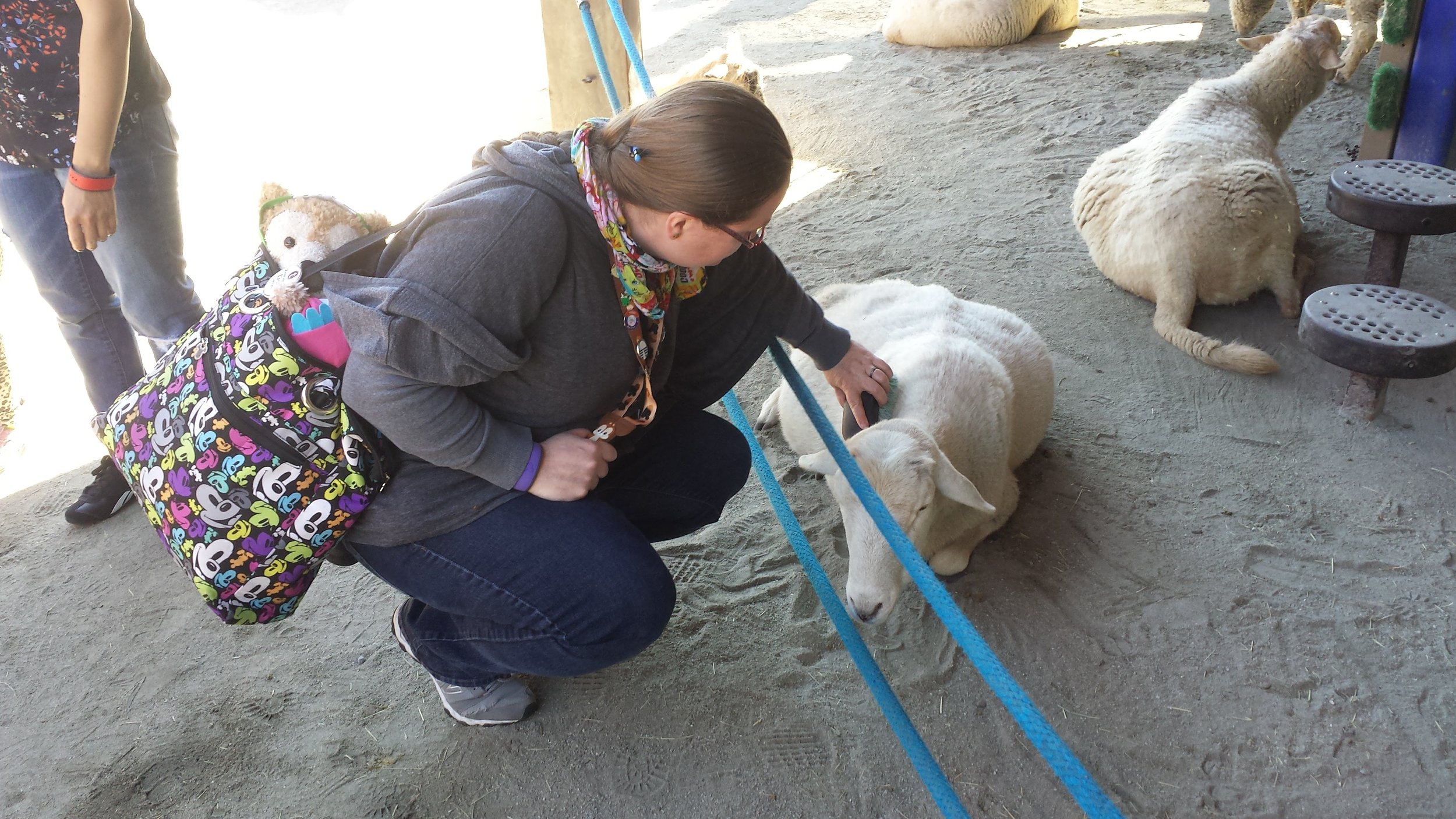 I got to brush some goats and sheep.