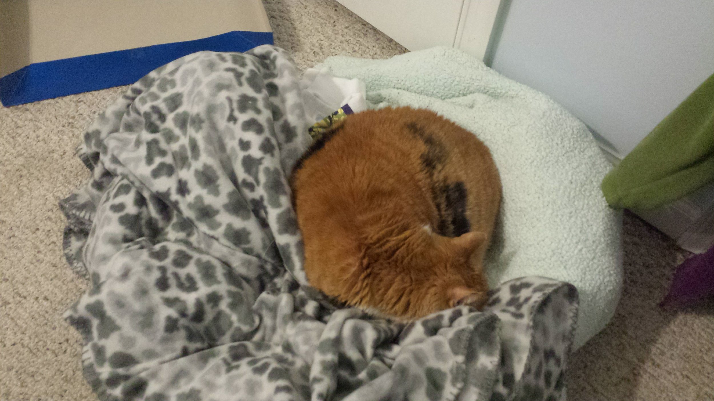 20161226_160419.jpg