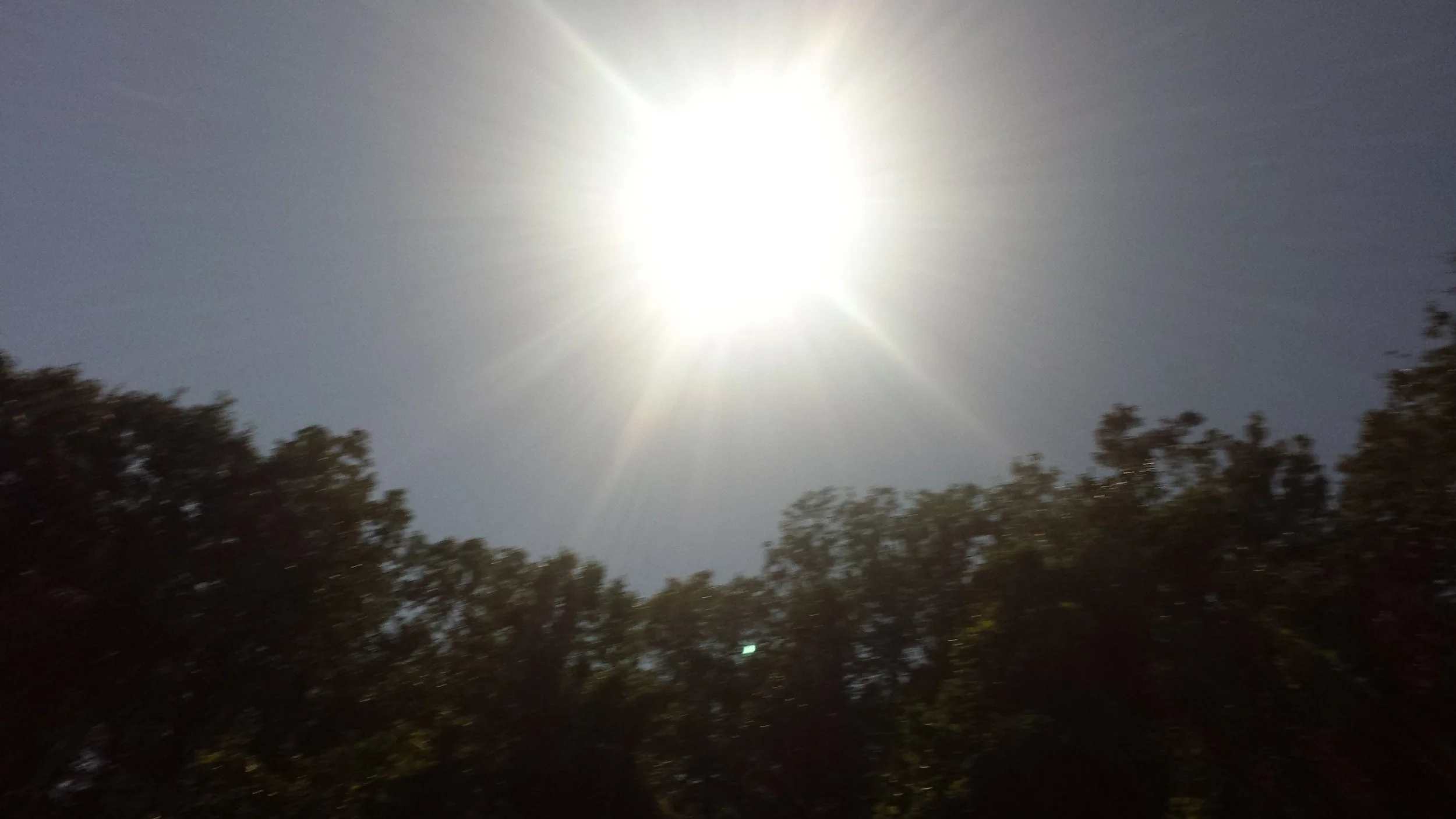 20170821_143254.jpg