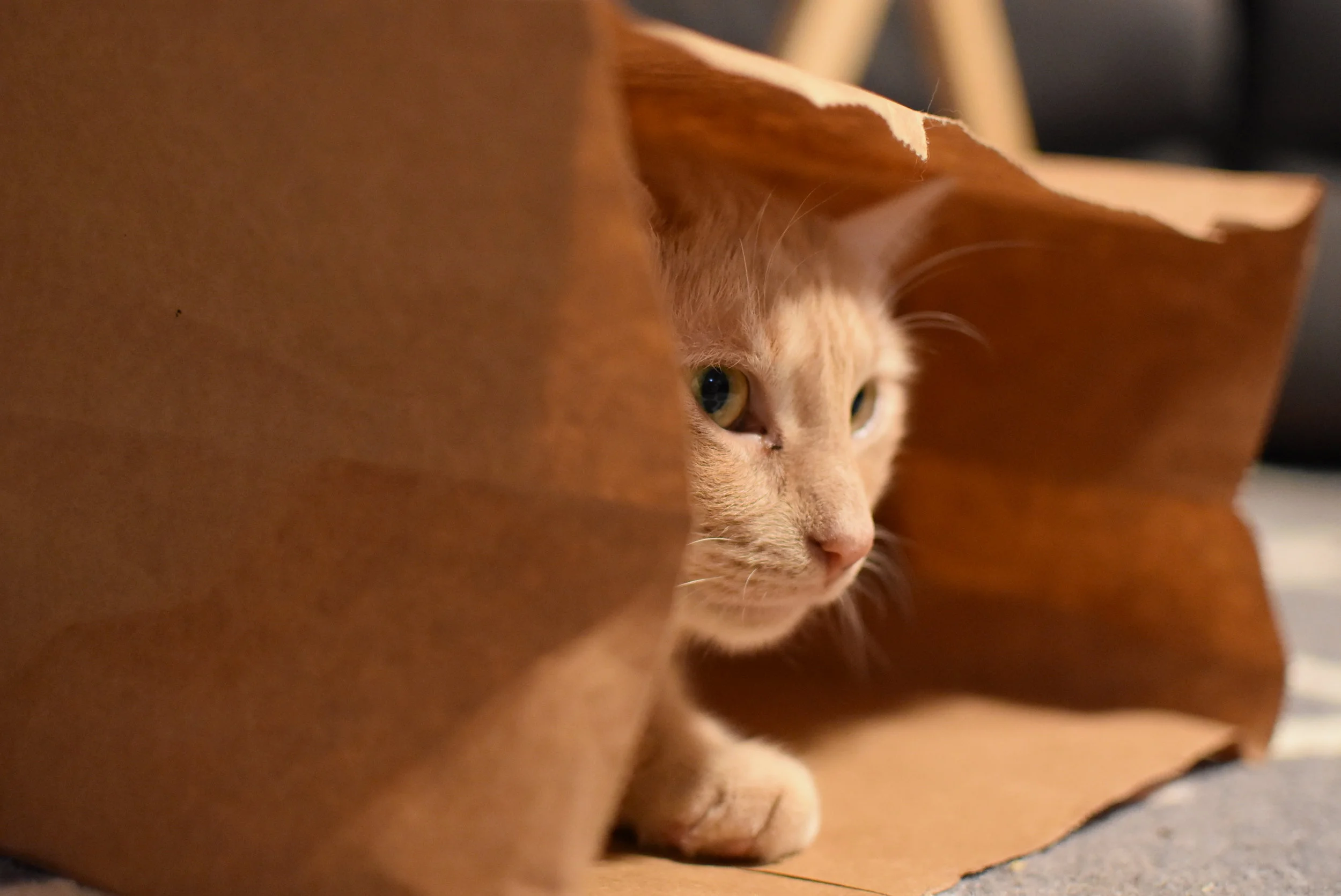 August Update? Too many blog topics &amp; not enough time!