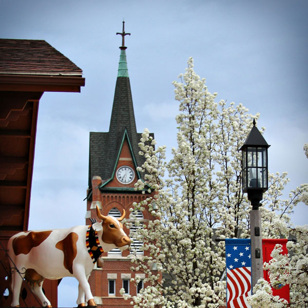 attracts_bng_cow_blossoms.jpg