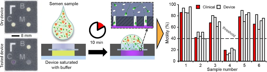 114. Paper-based quantification of male fertility potential