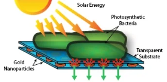 104. Wavelength-Selective Plasmonics for Enhanced Cultivation of Microalgae