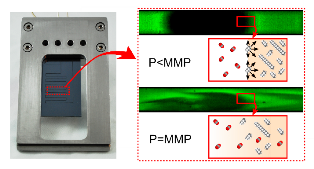 105. Fast Fluorescence-based Microfluidic Method for Measuring Minimum Miscibility Pressure of CO2 in Crude Oils