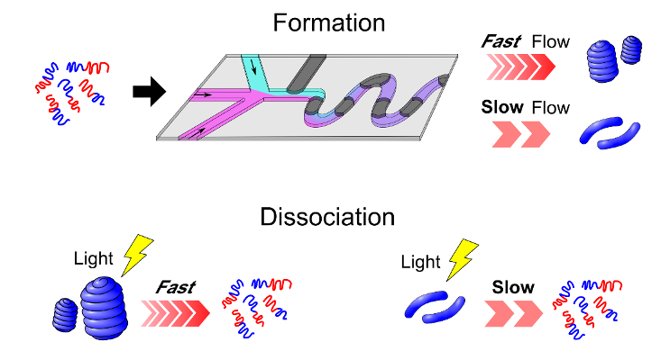 112. Microfluidic Synthesis of Photoresponsive Spool-Like Block Copolymer Nanoparticles: Flow-Directed Formation and Light-Triggered Dissociation