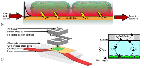 95. A photosynthetic-plasmonic-voltaic cell: Excitation of photosynthetic bacteria and currentcollection through a plasmonic substrate