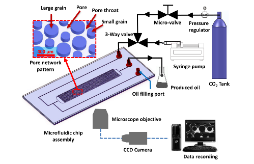 101. Pore-scale Assessment of Nanoparticle Stabilized CO2 Foam for Enhanced Oil Recovery