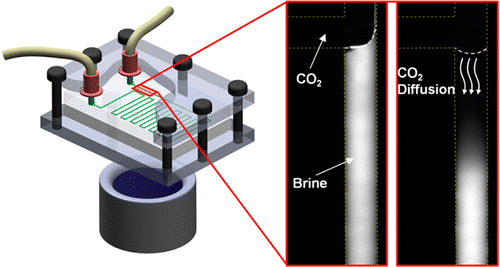 83. Measurement of CO2 Diffusivity for Carbon Sequestration: A Microfluidic Approach for Reservoir-Specific Analysis