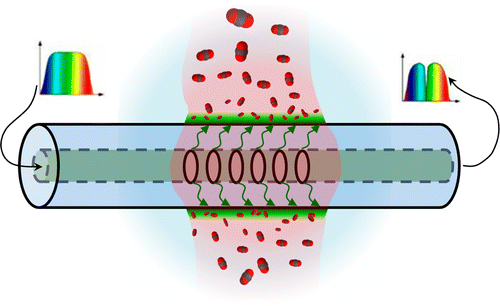 84. Detecting Supercritical CO2 in Brine at Sequestration Pressure with an Optical Fiber Sensor