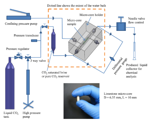82. Microfluidics Underground: A Micro-Core Method for Pore Scale Analysis of Supercritical CO2 Reactive Transport in Saline Aquifers