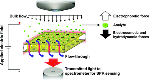 75. Optofluidic Concentration: Plasmonic Nanostructure as Concentrator and Sensor