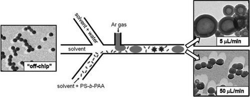 77. Flow-Directed Assembly of Block Copolymer Vesicles in the Lab-on-Chip