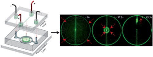 63. Radial sample preconcentration