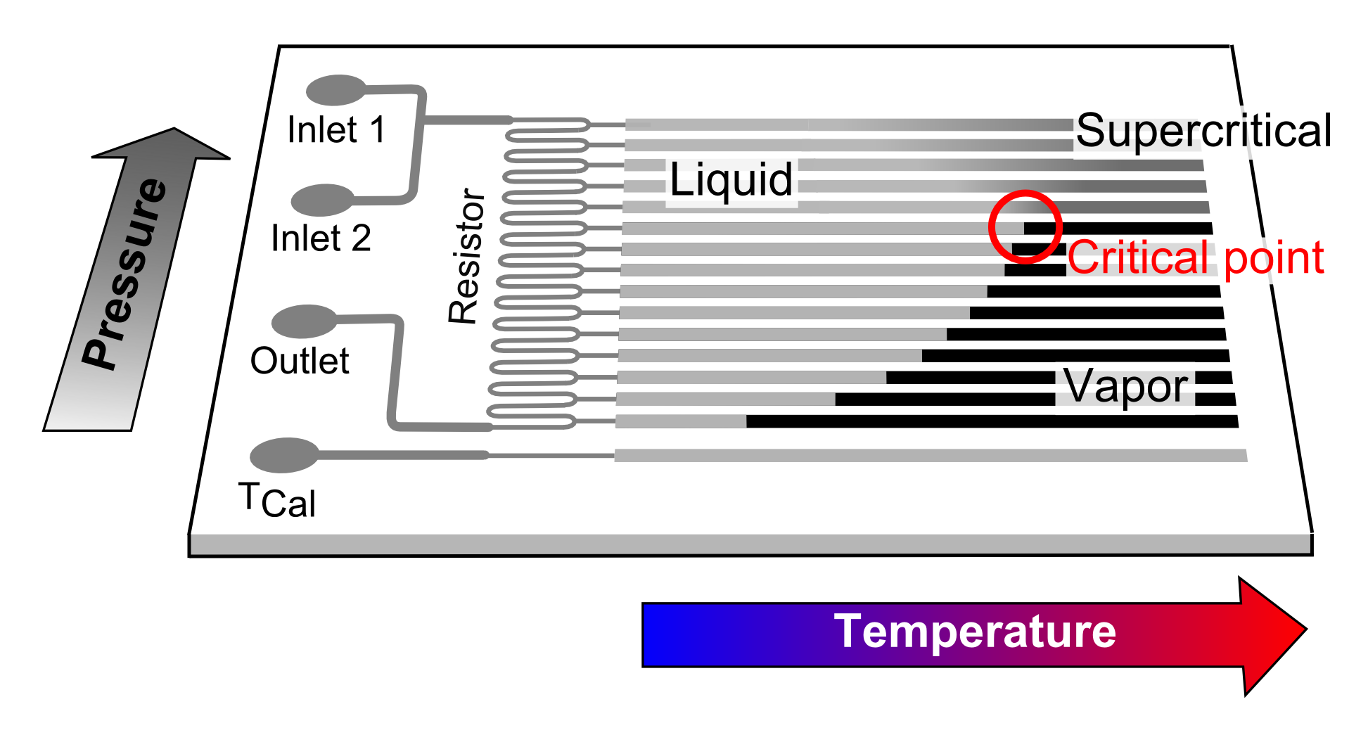 119. Direct Measurement of the Fluid Phase Diagram