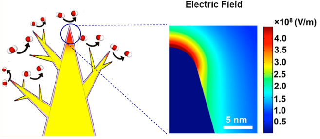 125. High-Density Nanosharp Microstructures Enable Efficient CO2 Electroreduction