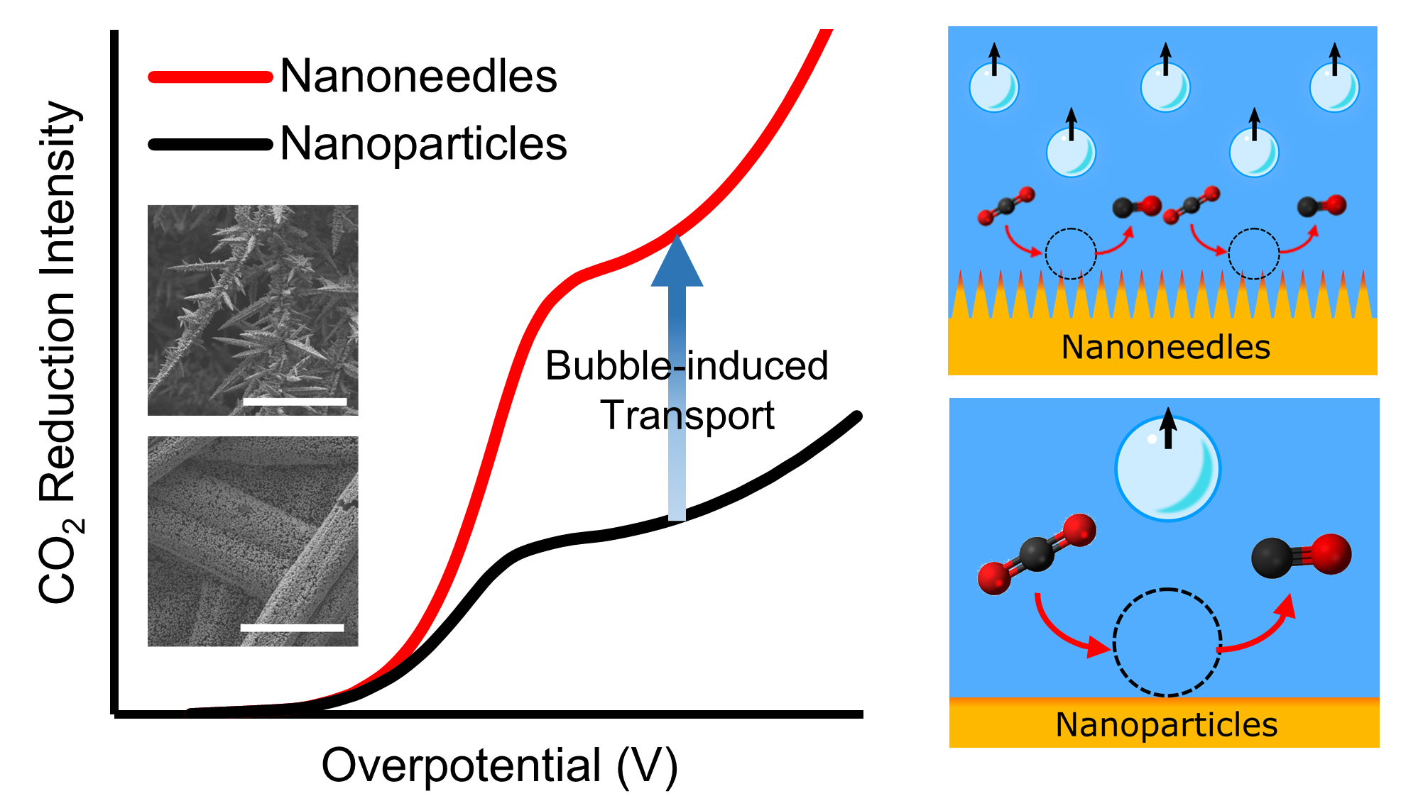 133. Nanomorphology-enhanced gas-evolution intensifies CO2 reduction electrochemistry