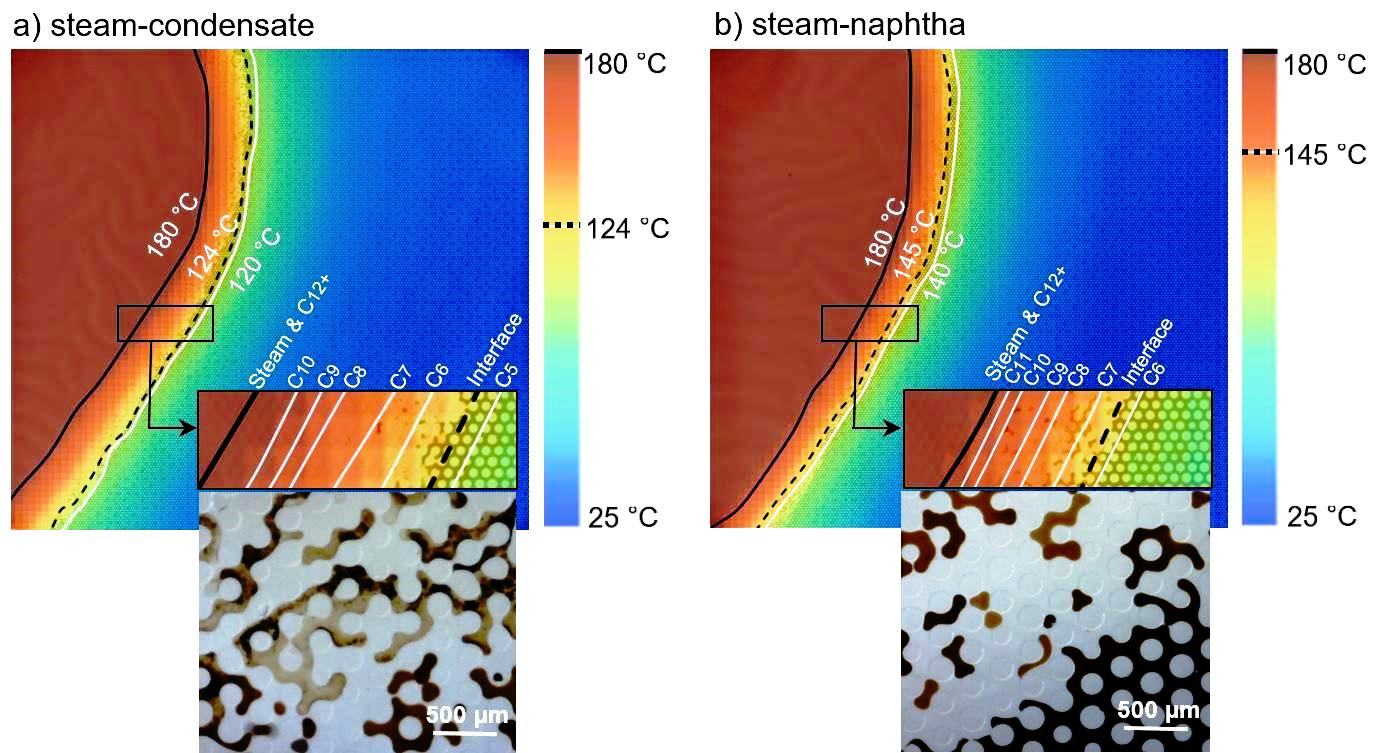 Pore-Scale Analysis of Steam-Solvent Coinjection: Azeotropic Temperature, Dilution and Asphaltene Deposition