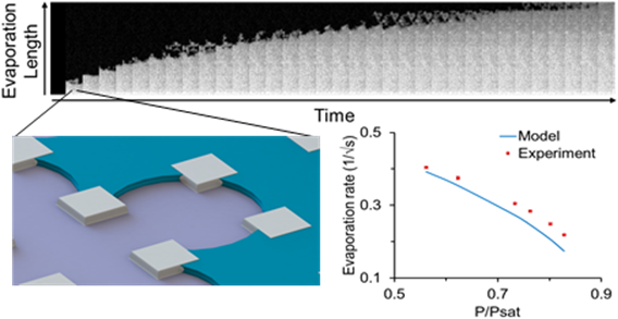 Direct Visualization of Evaporation in a Two-Dimensional Nanoporous Model for Unconventional Natural Gas