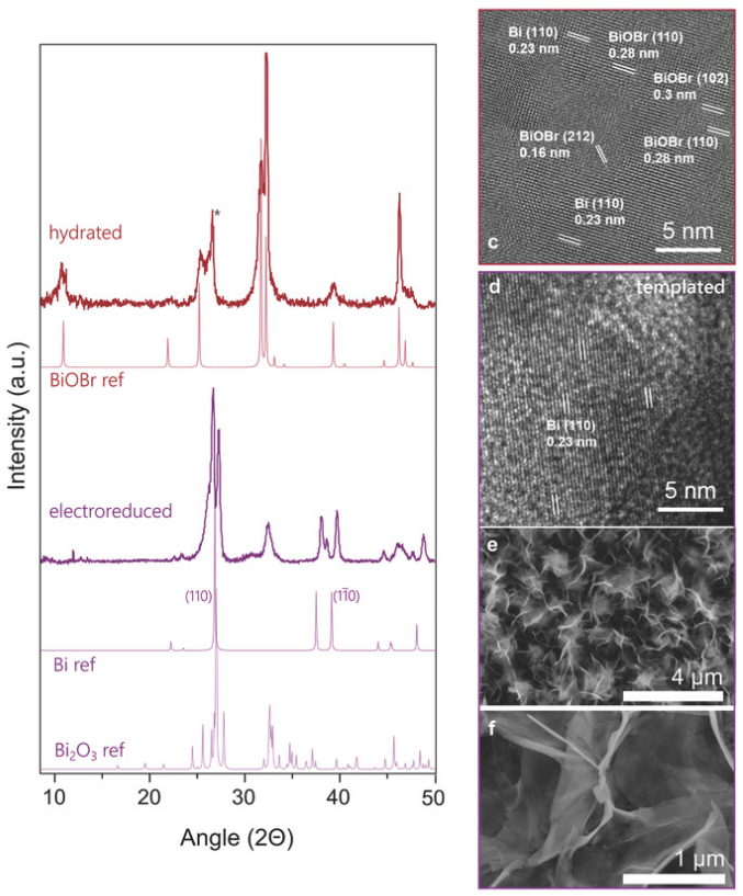 168. 2D Metal Oxyhalide-Derived Catalysts for Efficient CO2 Electroreduction