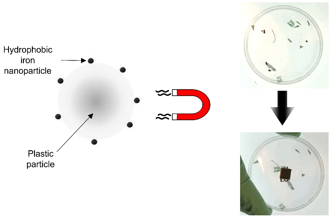 181. Magnetic Extraction of Microplastics from Environmental Samples