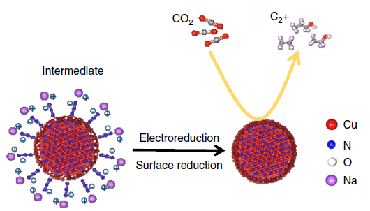 174. Copper-on-nitride enhances the stable electrosynthesis of multi-carbon products from CO2