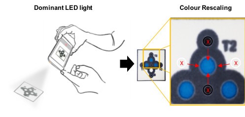 183. Accessory-free quantitative smartphone imaging of colorimetric paper-based assays