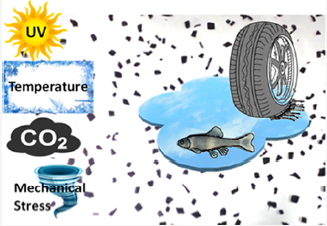 202. Increased Temperature and Turbulence Alter the Effects of Leachates from Tire Particles on Fathead Minnow (Pimephales promelas)