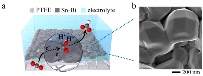 237. Stable, active CO2 reduction to formate via redox-modulated stabilization of active sites
