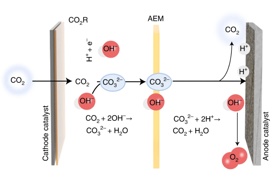 251. Carbon-efficient carbon dioxide electrolysers