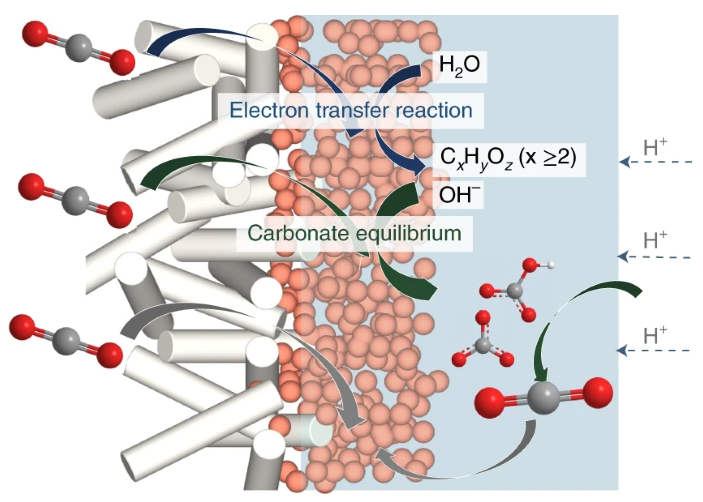 255. High carbon utilization in CO2 reduction to multi-carbon products in acidic media