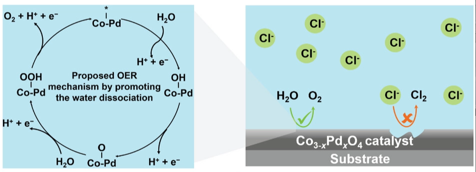 269. Strong-proton-adsorption co-based electrocatalysts achieve active and stable neutral seawater splitting