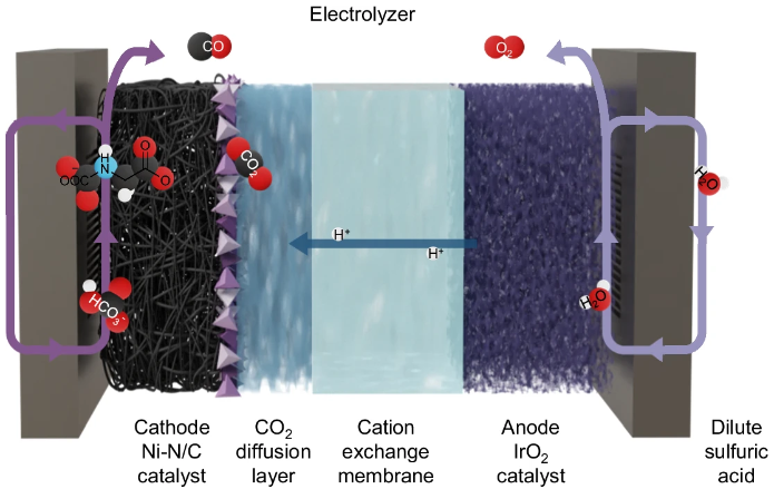 313. Reactive capture of CO2 via amino acid