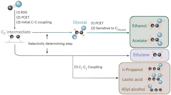 333. Co-electroreduction of CO and glyoxal promotes C3 products