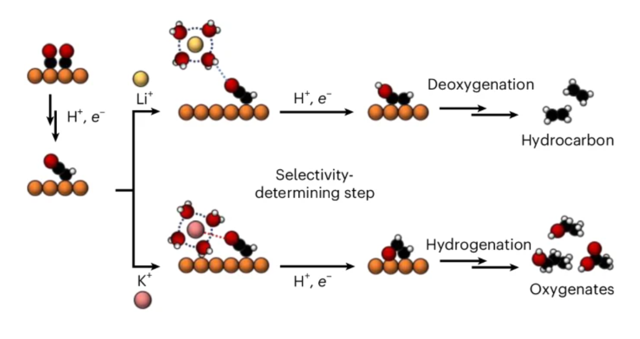 346. Small alkali cations direct CO electroreduction to hydrocarbons rather than oxygenates