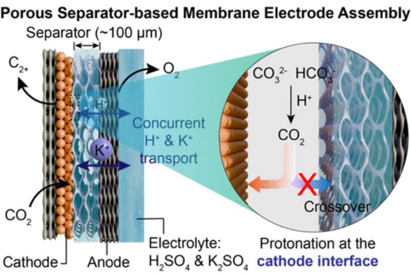 352. Efficient Acidic CO2 Electrolysis with Suppressed Crossover in a Separator-Based Membrane Electrode Assembly