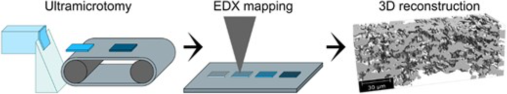 352. EDX Array Tomography: 3D Imaging With Chemical Sensitivity and Submicron Resolution Through Ultramicrotomy and SEM-EDX Mapping
