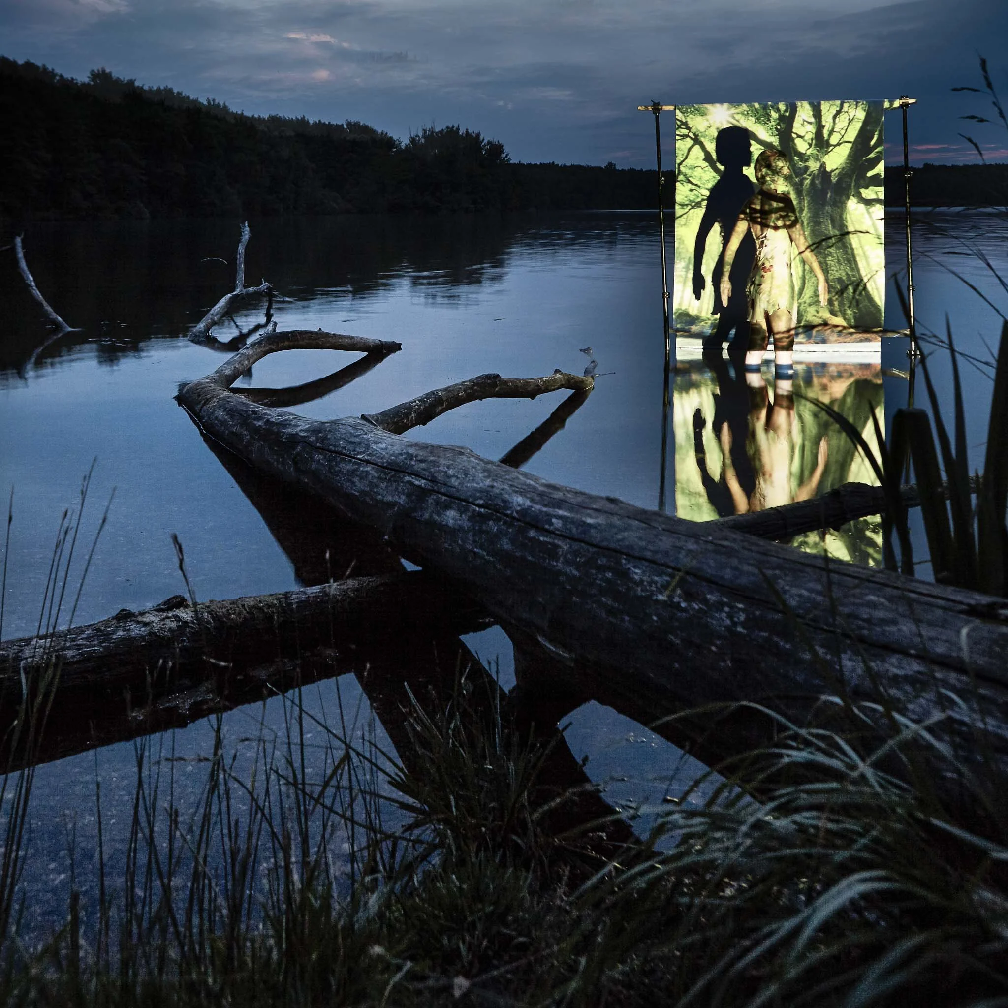 41411 bearbeitet.jpg