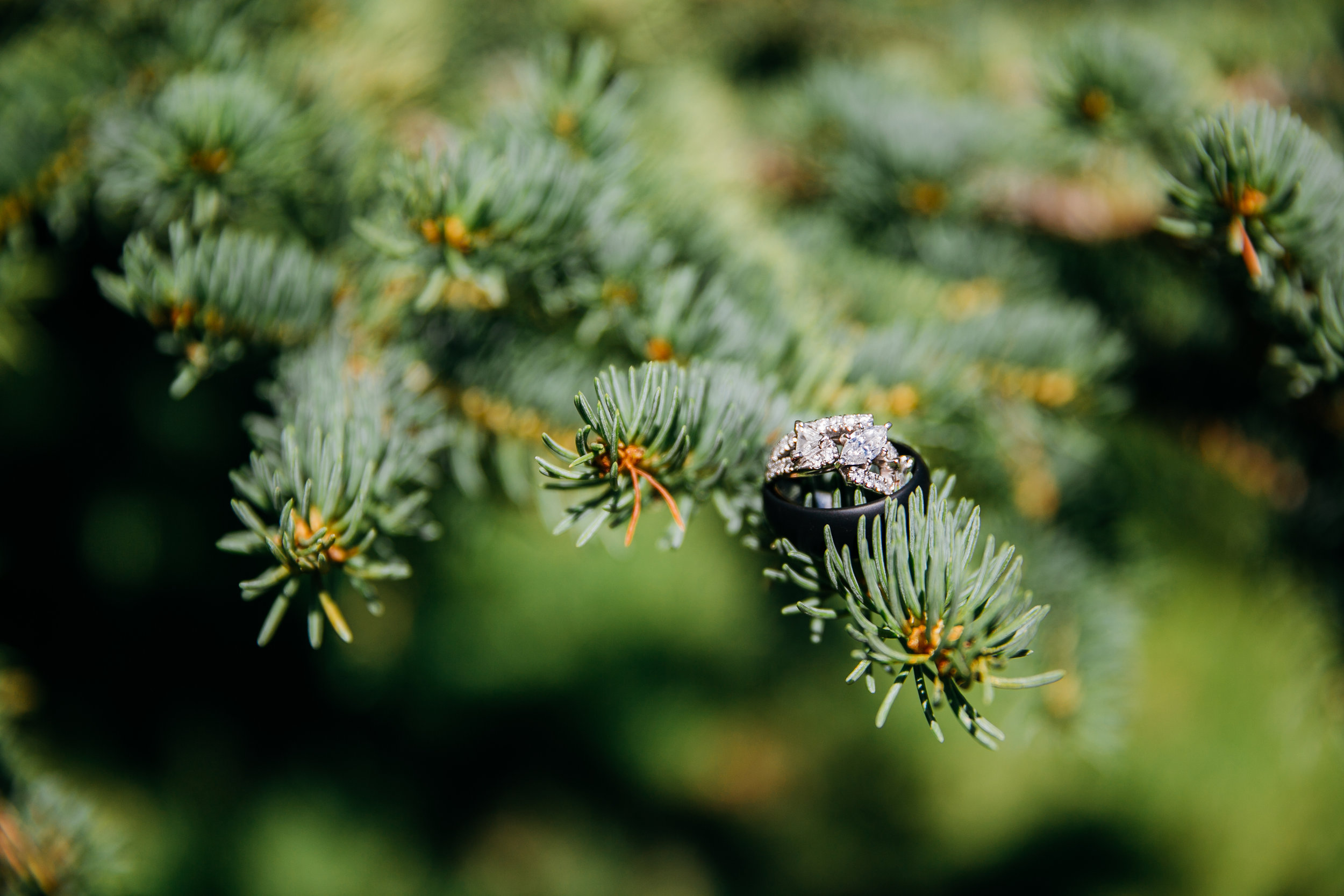 Abbott Wedding Day  (208 of 453).jpg