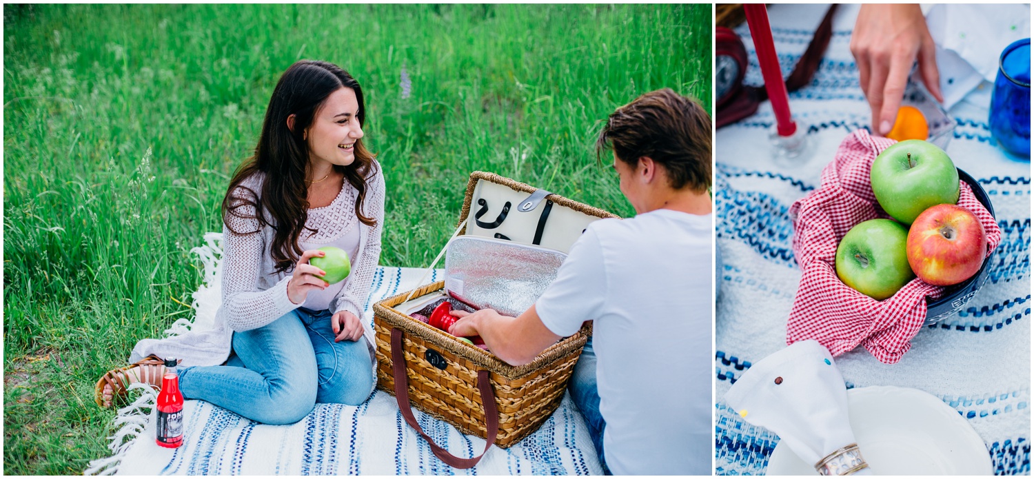 picnic-engagements-ririe-idaho-colorado-wyoming-wedding-photographer_0476.jpg