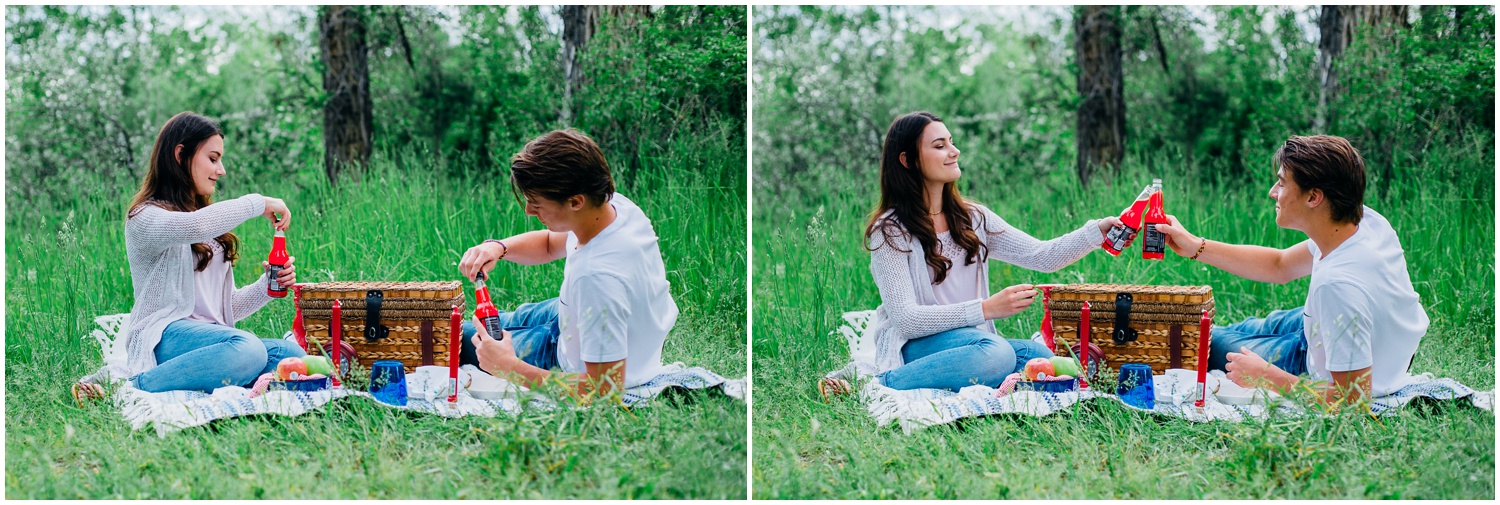 picnic-engagements-ririe-idaho-colorado-wyoming-wedding-photographer_0478.jpg